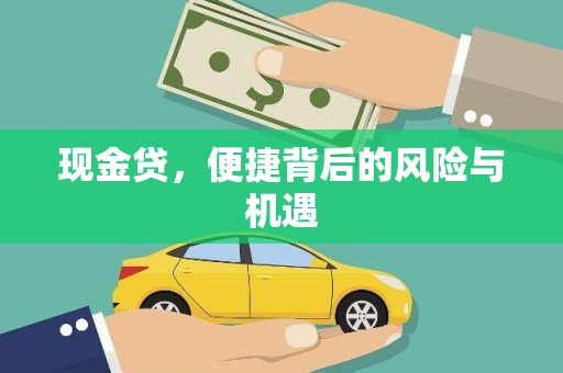 麻豆现金贷，便捷背后的风险与机遇