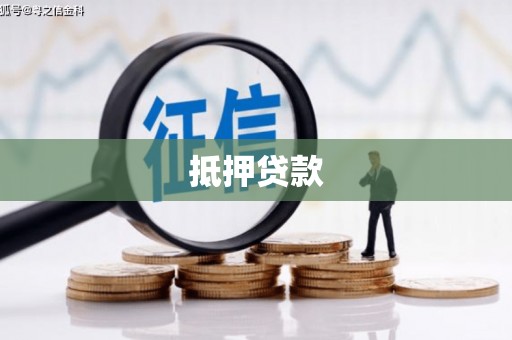 麻豆抵押贷款