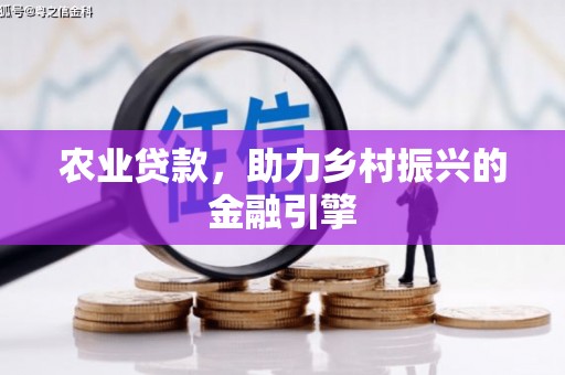 麻豆农业贷款，助力乡村振兴的金融引擎