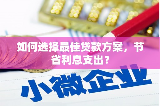麻豆如何选择最佳贷款方案，节省利息支出？