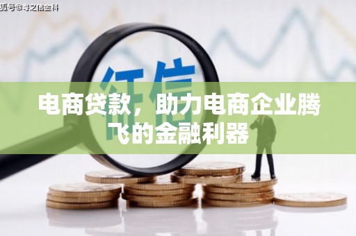麻豆电商贷款，助力电商企业腾飞的金融利器