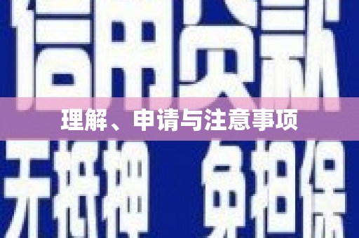 麻豆理解、申请与注意事项