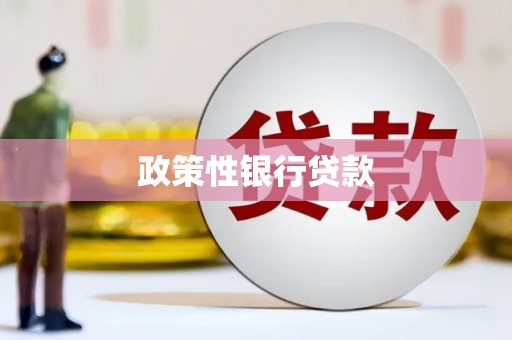 麻豆政策性银行贷款