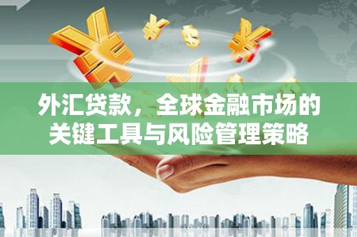 麻豆外汇贷款，全球金融市场的关键工具与风险管理策略