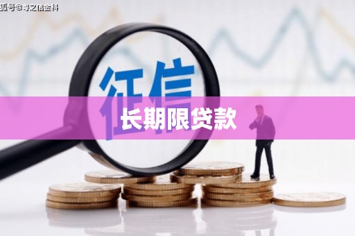 麻豆长期限贷款
