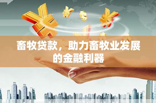 麻豆畜牧贷款，助力畜牧业发展的金融利器