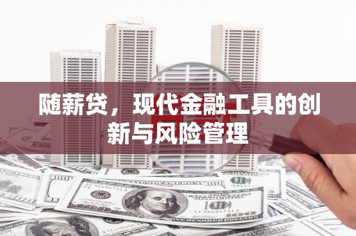 麻豆随薪贷，现代金融工具的创新与风险管理