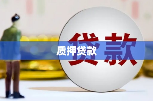 麻豆质押贷款