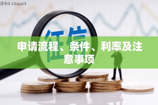 麻豆申请流程、条件、利率及注意事项