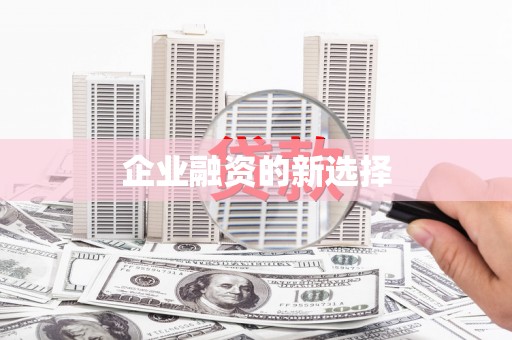 麻豆企业融资的新选择