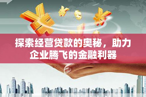 麻豆探索经营贷款的奥秘，助力企业腾飞的金融利器