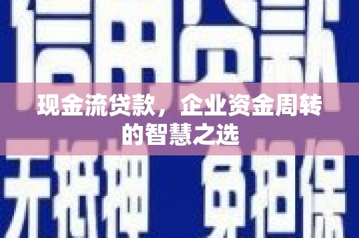 麻豆现金流贷款，企业资金周转的智慧之选
