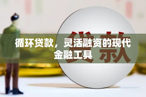 麻豆循环贷款，灵活融资的现代金融工具