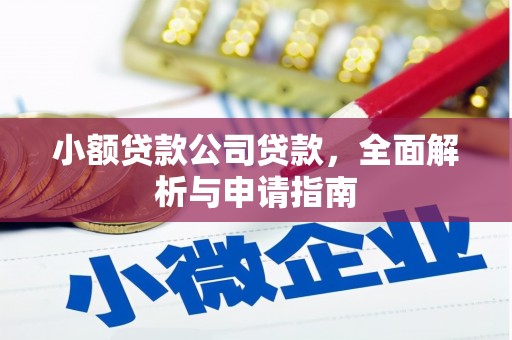 麻豆小额贷款公司贷款，全面解析与申请指南
