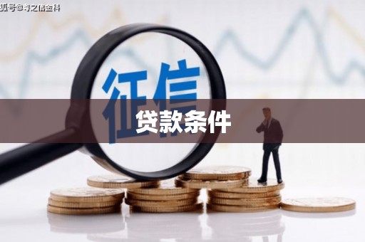 麻豆贷款条件