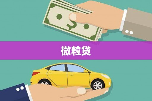 麻豆微粒贷