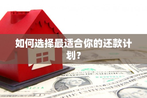 麻豆如何选择最适合你的还款计划？