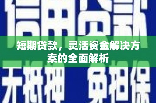 麻豆短期贷款，灵活资金解决方案的全面解析
