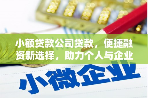 麻豆小额贷款公司贷款，便捷融资新选择，助力个人与企业成长
