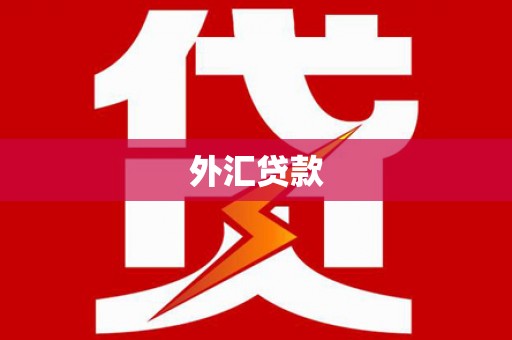 麻豆外汇贷款