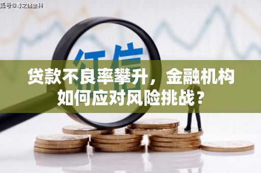 麻豆贷款不良率攀升，金融机构如何应对风险挑战？