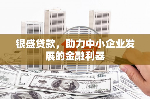 麻豆银盛贷款，助力中小企业发展的金融利器
