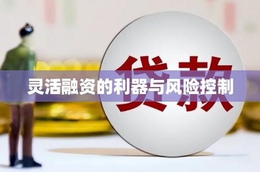麻豆灵活融资的利器与风险控制
