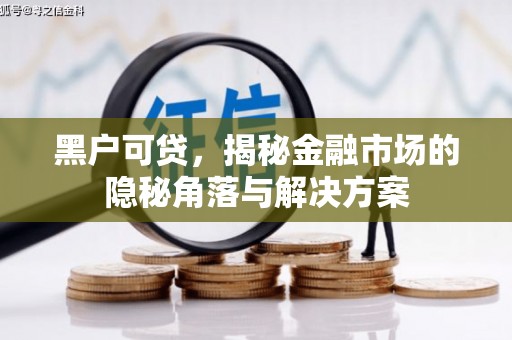 麻豆黑户可贷，揭秘金融市场的隐秘角落与解决方案