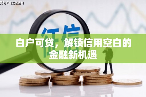 麻豆白户可贷，解锁信用空白的金融新机遇
