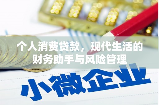 麻豆个人消费贷款，现代生活的财务助手与风险管理