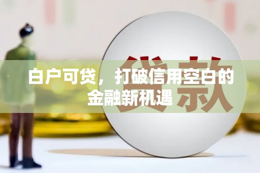 麻豆白户可贷，打破信用空白的金融新机遇