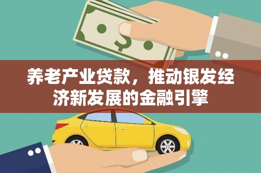 麻豆养老产业贷款，推动银发经济新发展的金融引擎