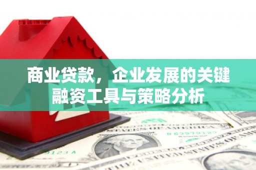 麻豆商业贷款，企业发展的关键融资工具与策略分析