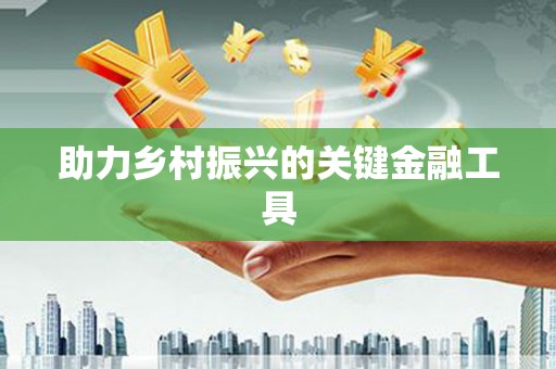麻豆助力乡村振兴的关键金融工具