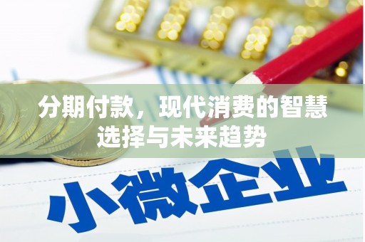 麻豆分期付款，现代消费的智慧选择与未来趋势