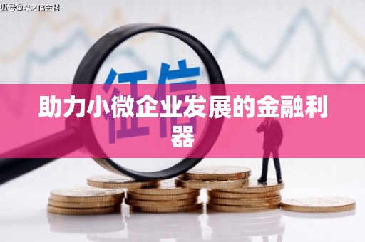 麻豆助力小微企业发展的金融利器