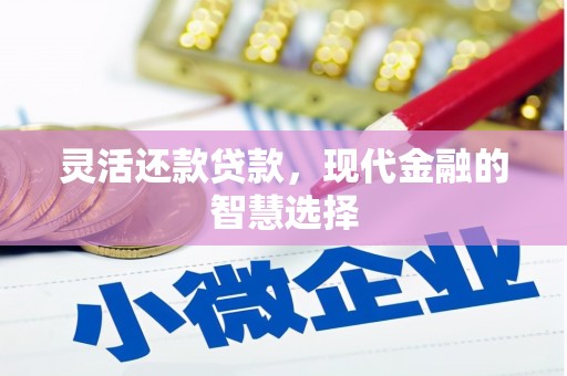 麻豆灵活还款贷款，现代金融的智慧选择