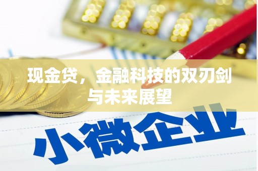麻豆现金贷，金融科技的双刃剑与未来展望