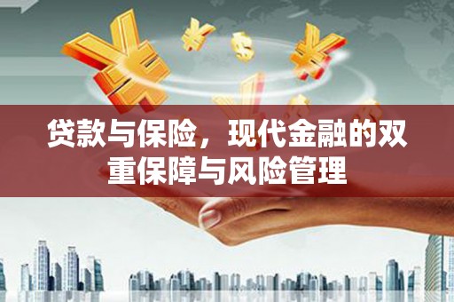 麻豆贷款与保险，现代金融的双重保障与风险管理