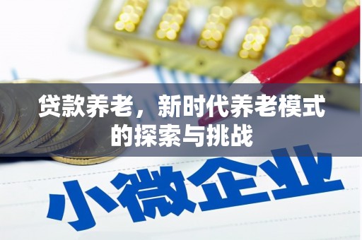 麻豆贷款养老，新时代养老模式的探索与挑战