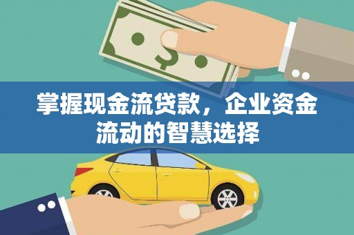 麻豆掌握现金流贷款，企业资金流动的智慧选择