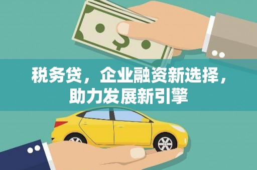 麻豆税务贷，企业融资新选择，助力发展新引擎