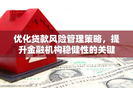 麻豆优化贷款风险管理策略，提升金融机构稳健性的关键