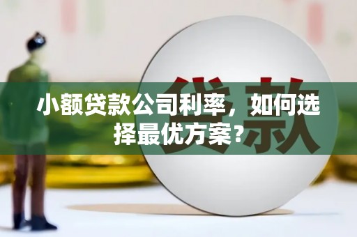 麻豆小额贷款公司利率，如何选择最优方案？