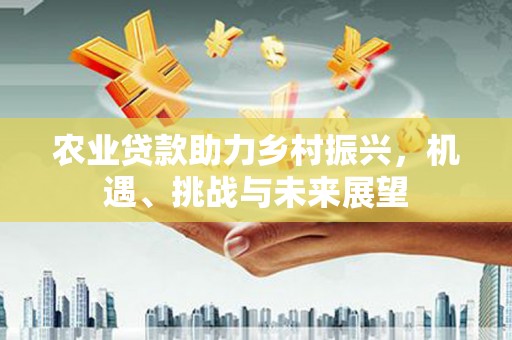 麻豆农业贷款助力乡村振兴，机遇、挑战与未来展望