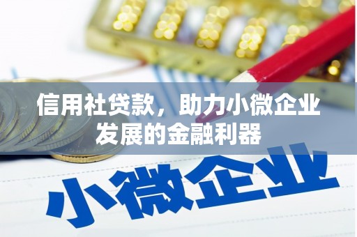 麻豆信用社贷款，助力小微企业发展的金融利器
