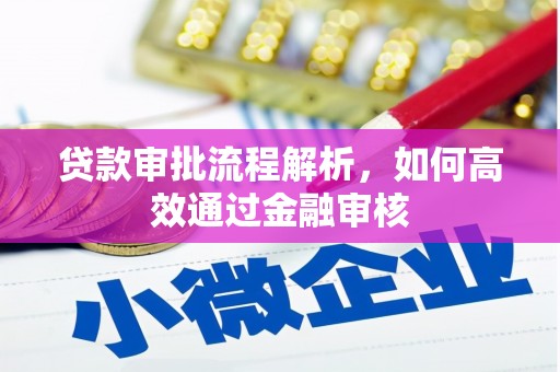 麻豆贷款审批流程解析，如何高效通过金融审核