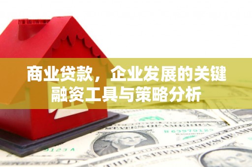 麻豆商业贷款，企业发展的关键融资工具与策略分析
