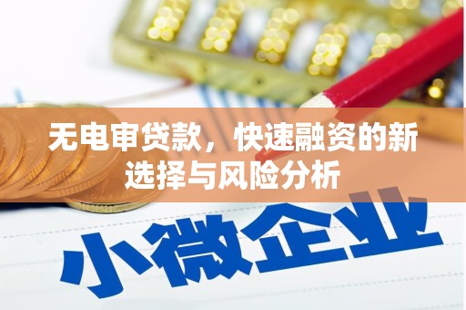 麻豆无电审贷款，快速融资的新选择与风险分析