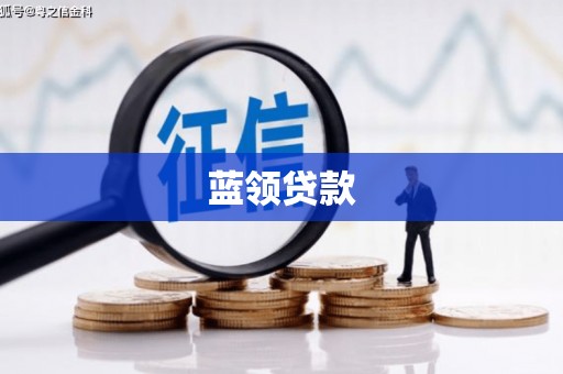 麻豆蓝领贷款